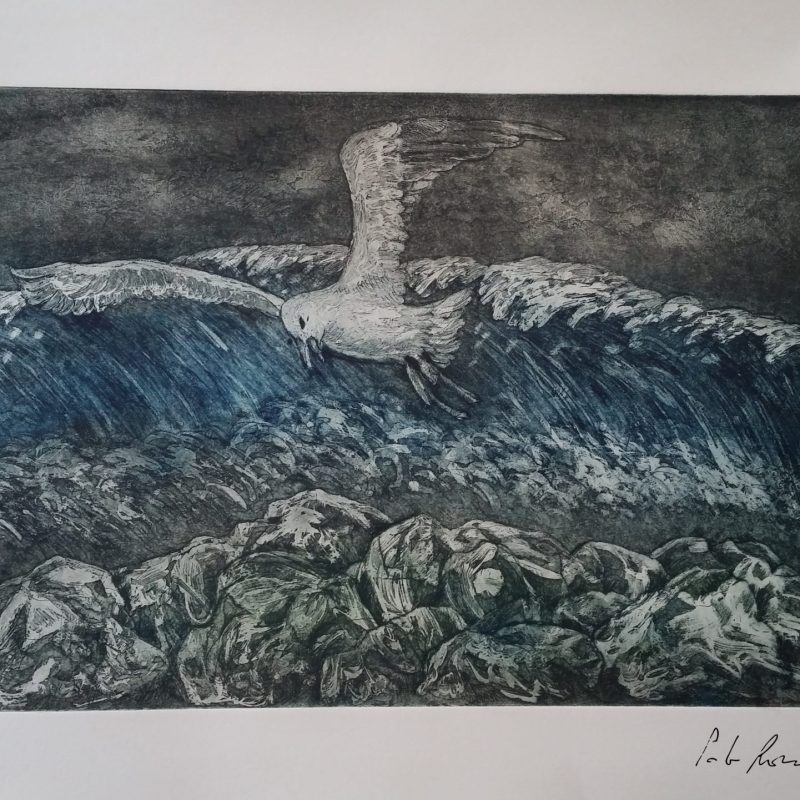 - Mareggiata -
cera molle, catramina, acquaforte, acquatinta e puntasecca su lastra di zinco
stampata a tre colori, nero caldo, blu oceano e giallo primula.
dimensioni carta cm 35 x 50, dimensioni incisione cm 25 x 35.